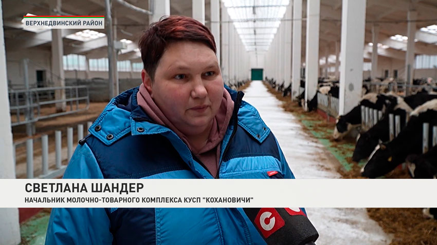 Светлана Шандер, начальник молочно-товарного комплекса КУСП «Кохановичи»
