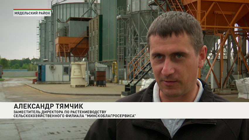 Александр Тямчик