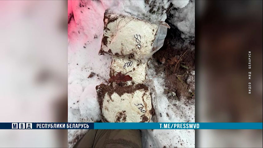 Наркоконтроль