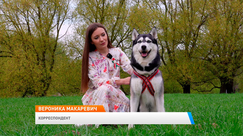 Утро