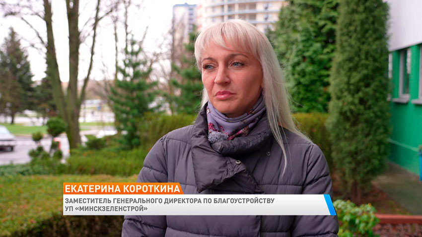 Утро