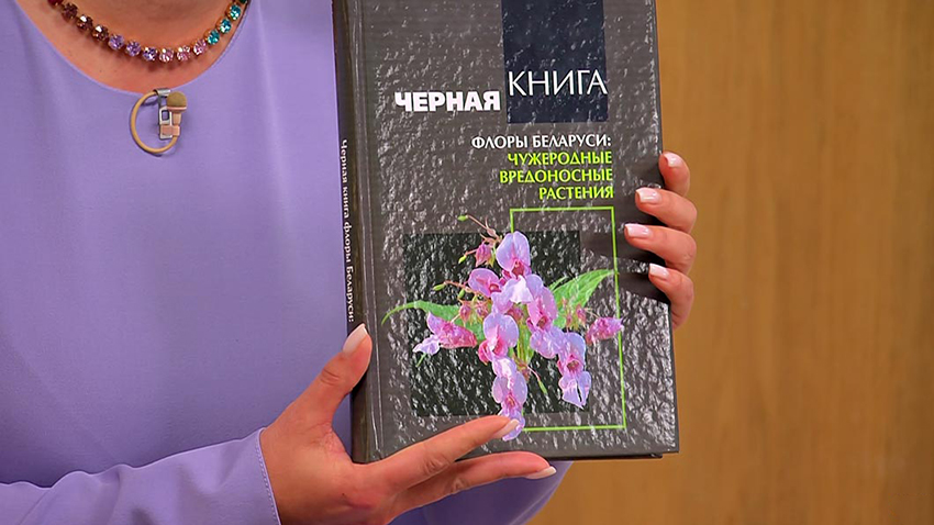 Утро