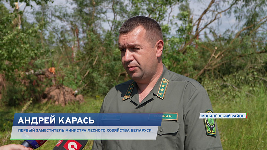 Андрей Карась