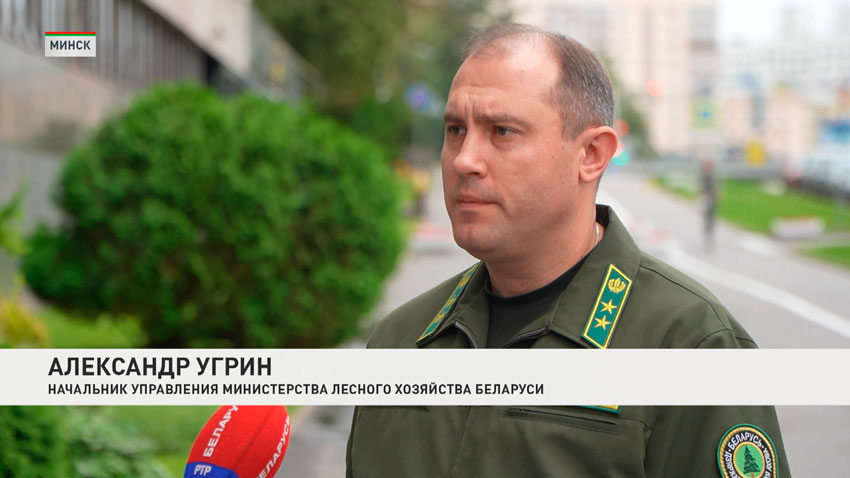 Александр Угрин, начальник управления лесного хозяйства Министерства лесного хозяйства Беларуси