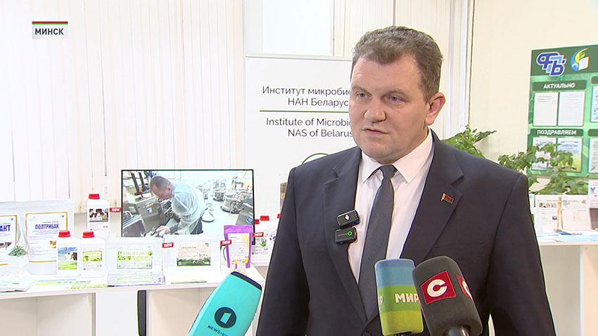 Александр Шепшелев