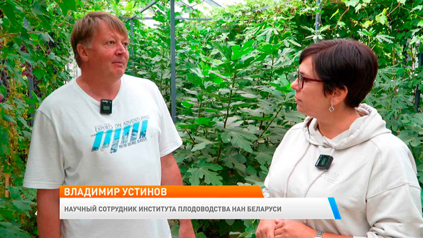 Новое утро