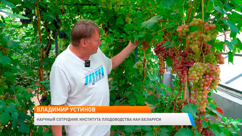 Новое утро