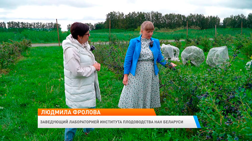 Новое утро