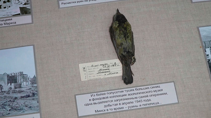 Новое утро