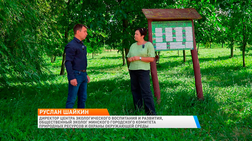 Новое утро