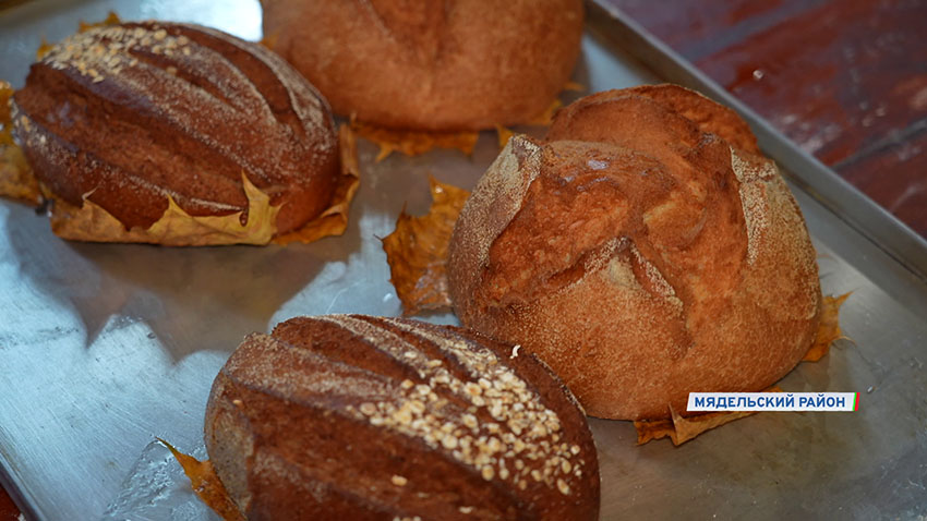 Отдых в Беларуси