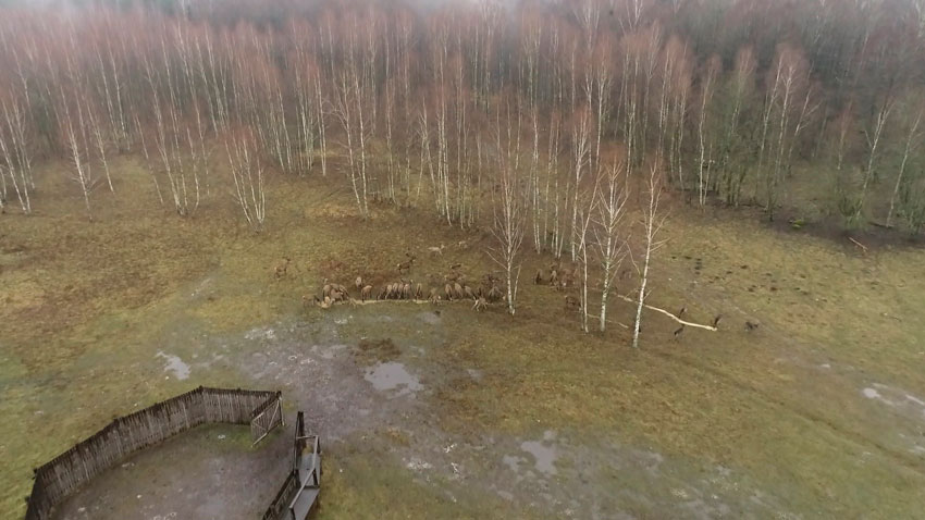 Ноябрь в Беларуси объявлен месяцем охотничьего туризма