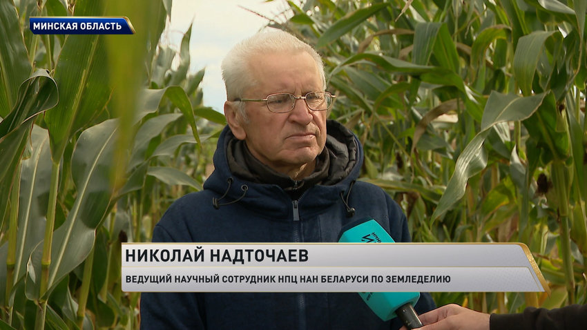 Николай Надточаев, ведущий научный сотрудник НПЦ НАН Беларуси по земледелию