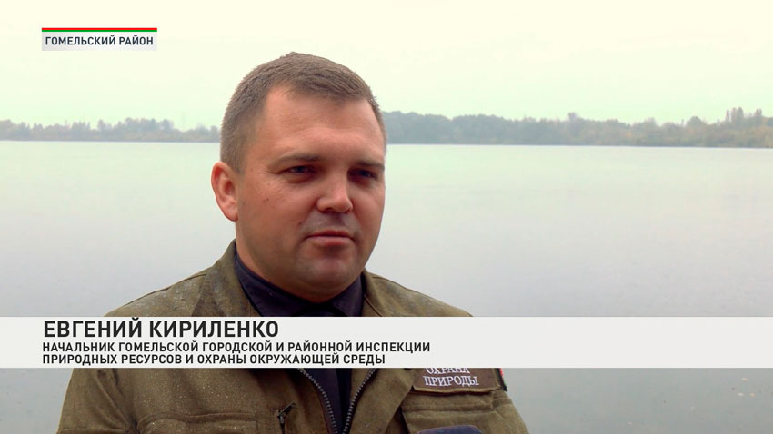 Евгений Кириленко, начальник Гомельской городской и районной инспекции природных ресурсов и охраны окружающей среды