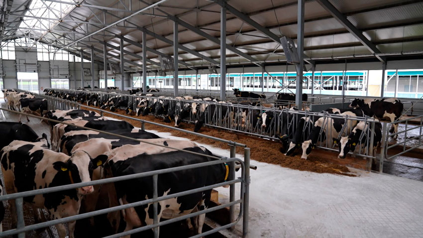 Определён перечень организаций АПК, которым предоставляются субсидии на реализацию инвестпроектов