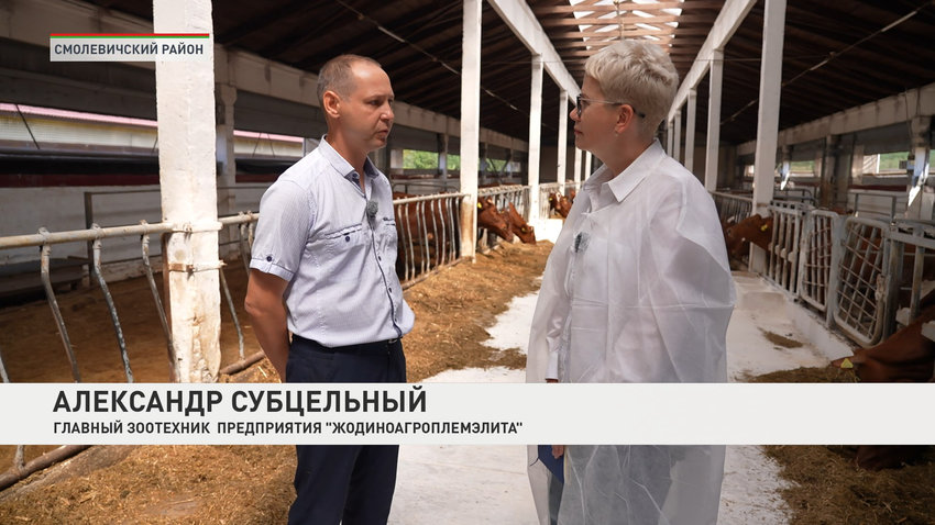 Александр Субцельный, главный зоотехник предприятия «ЖодиноАгроПлемЭлита»