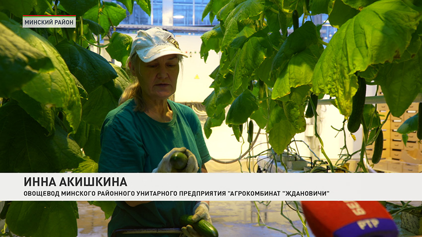 Инна Акишкина