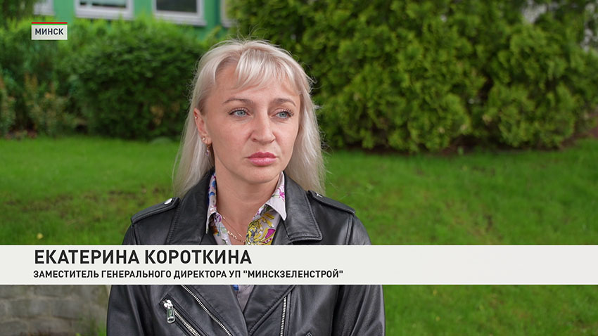 Озеленение
