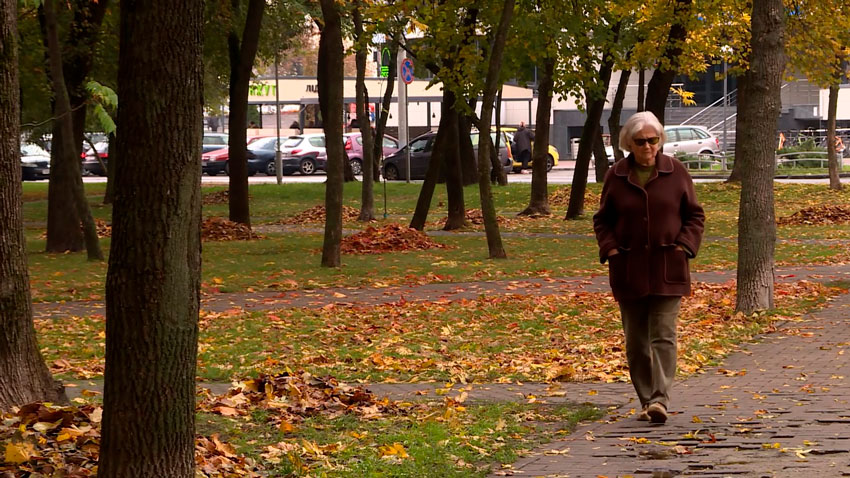 Пенсии и пособия за 7 ноября в Беларуси начнут выплачивать уже 5 ноября