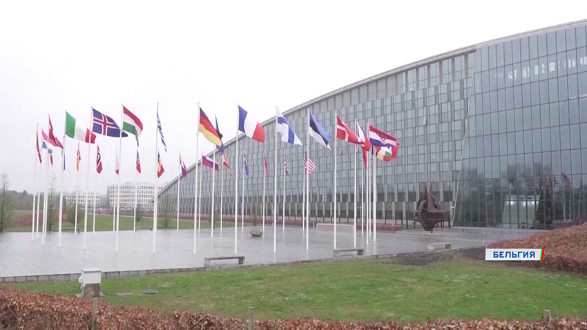 Мирный план