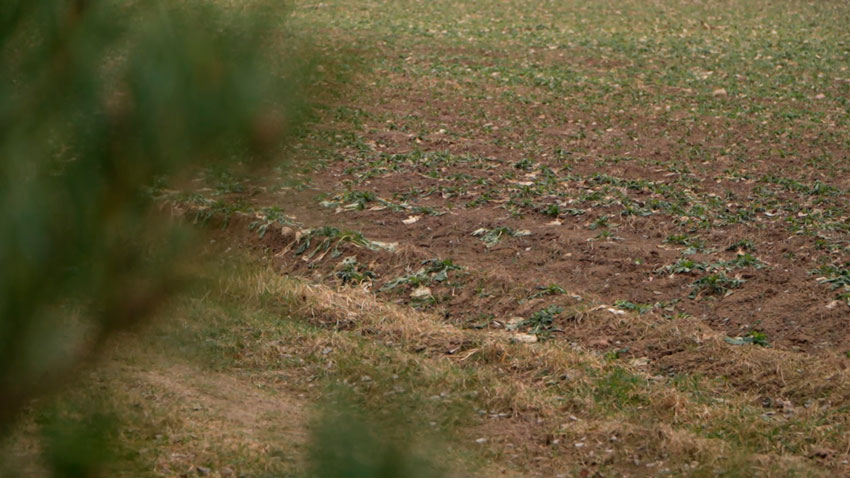 Сельхозпредприятия Беларуси активно готовятся к весенним полевым работам