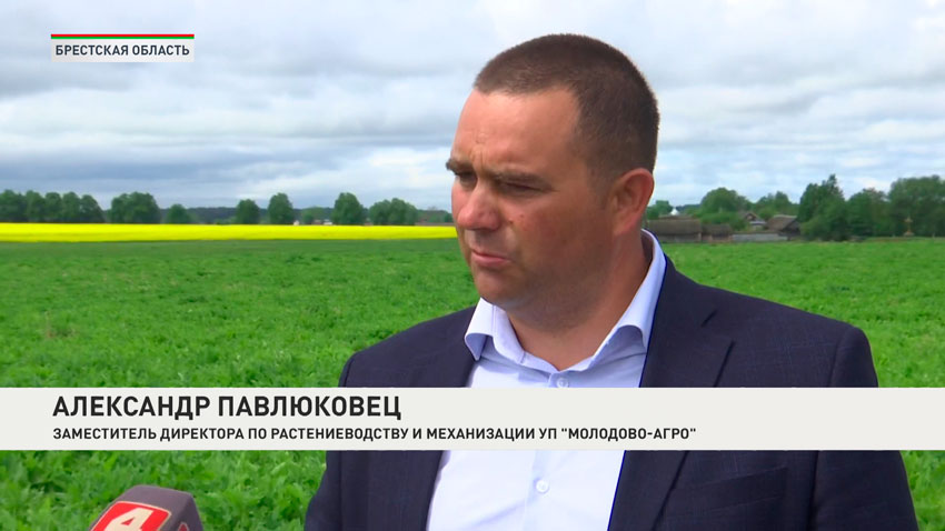 Покос