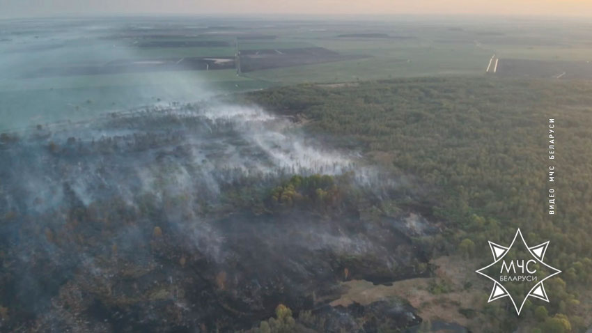 Посещать леса полностью запрещено в Могилёвской и Гомельской областях Беларуси