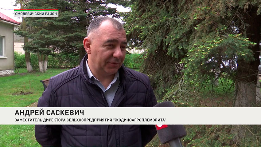 Андрей Саскевич