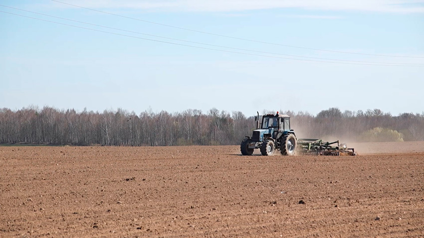 Посевная кампания-2026. Массовый сев сахарной свеклы начался в Беларуси