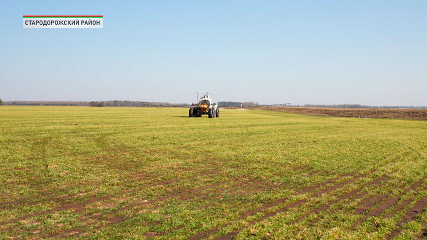 Весенний день год кормит – в Беларуси набирают оборот полевые работы
