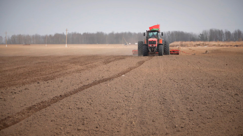 На полях Беларуси идет масштабная посевная кампания