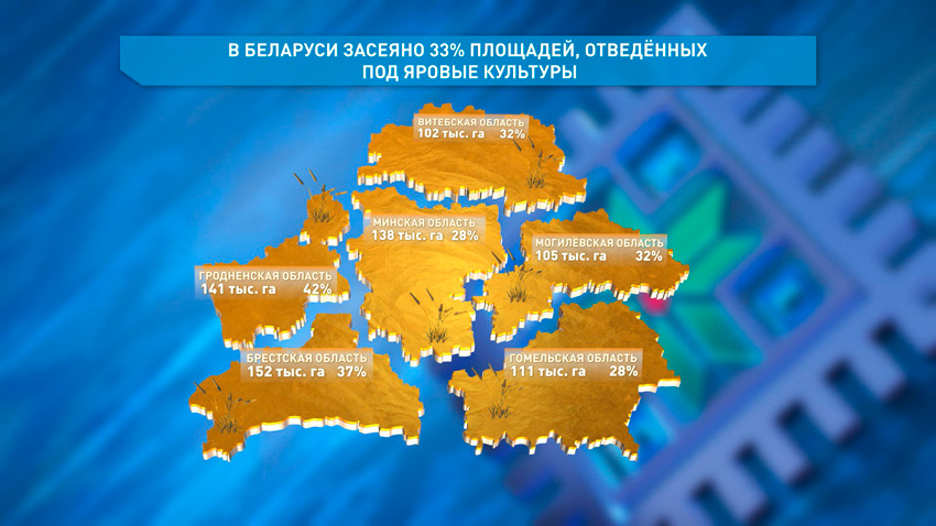 В Беларуси засеяно 33 % площадей яровых культур