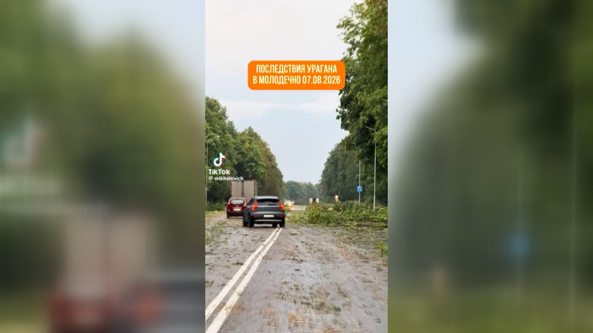 Поваленные деревья и сотни сел без света: в Беларуси устраняют последствия мощного грозового фронта