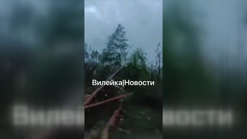 Поваленные деревья и сотни сел без света: в Беларуси устраняют последствия мощного грозового фронта