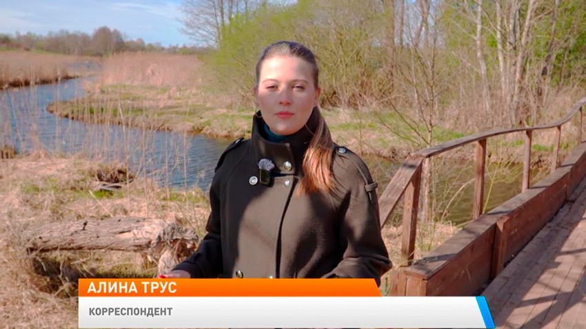 Алина Трус, корреспондент