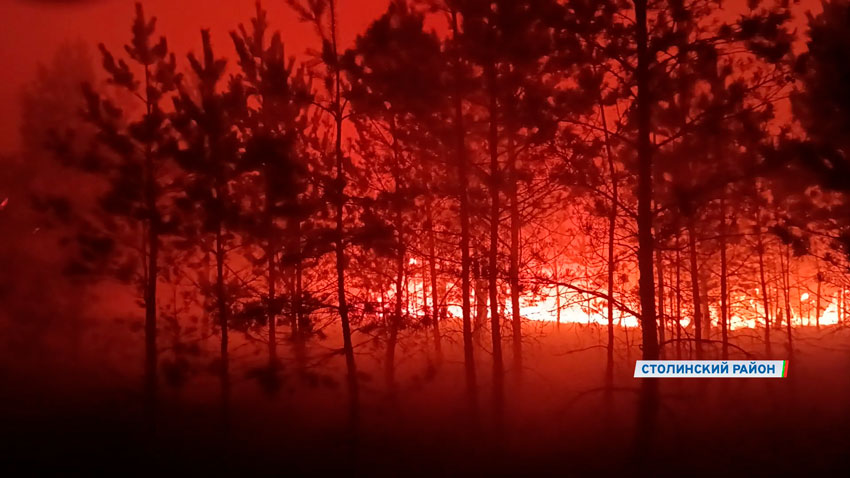 Пожар на Ольманских болотах остановлен