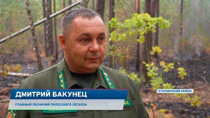 Дмитрий Бакунец, главный лесничий Полесского лесхоза