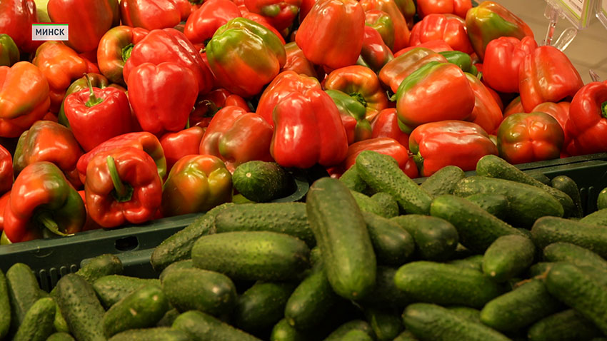 Правительство