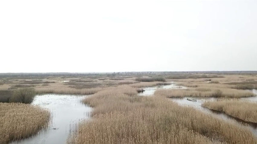 ПРБ