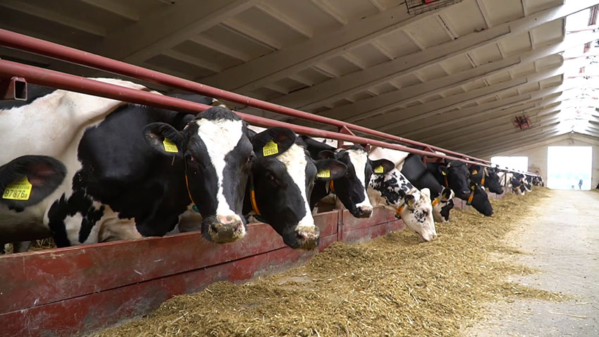 Прокуратура