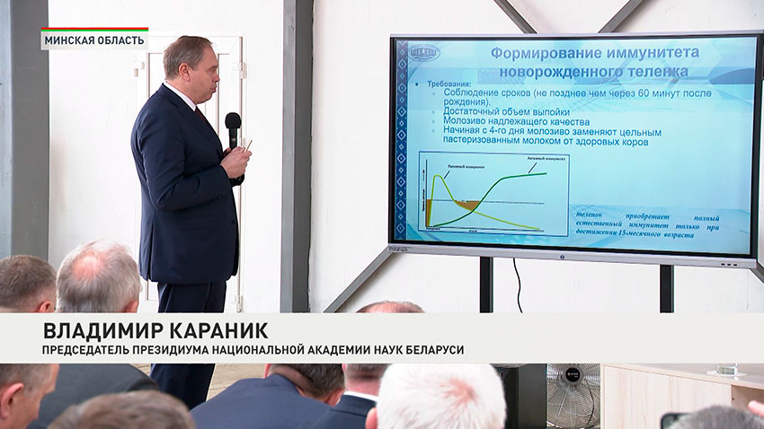 Владимир Караник