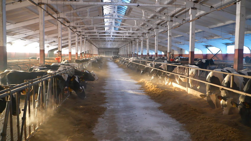 Сельское хозяйство