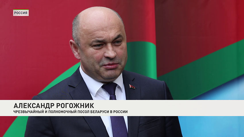 Рогожник