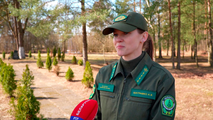 Алеся Шатравко, лесничий Плещеницкого лесничества Логойского лесхоза