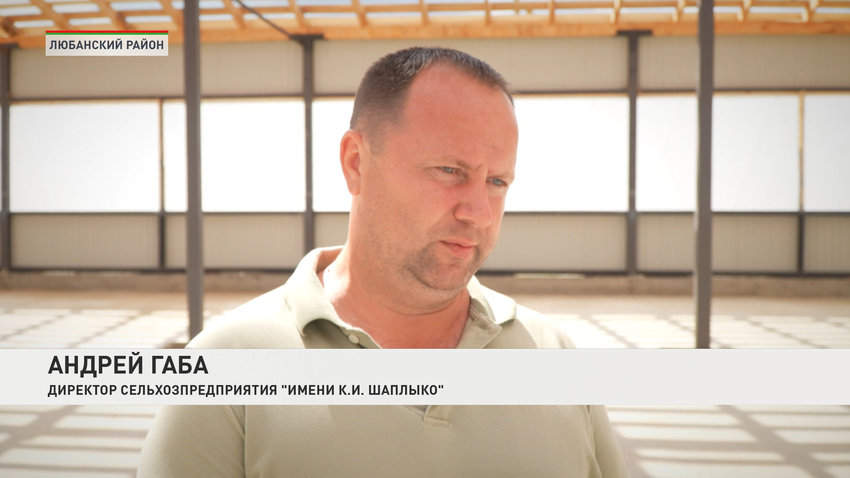 Андрей Габа, директор сельхозпредприятия «Имени К.И.Шаплыко»