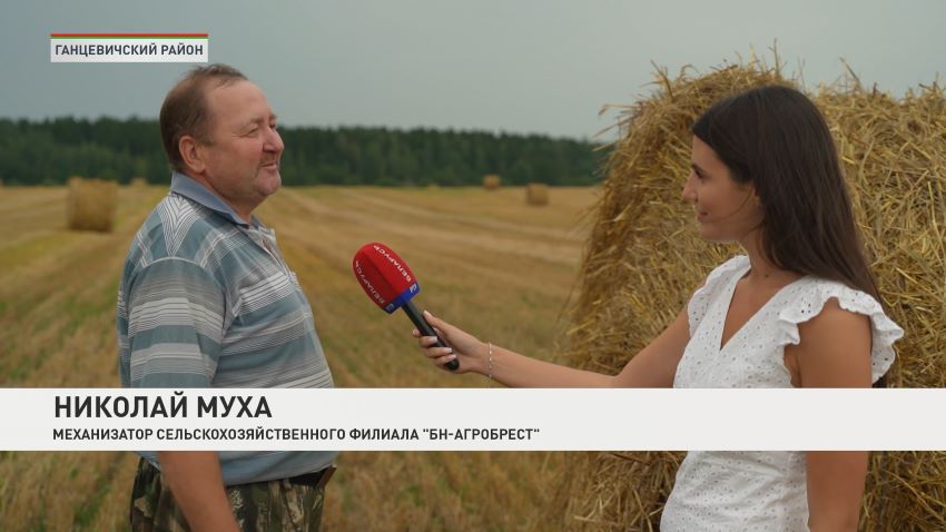 Работа в поле в режиме нон-стоп – как белорусские аграрии трудятся на уборочной-2026