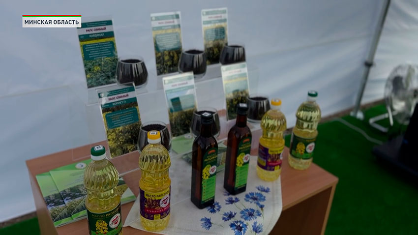 Рапс