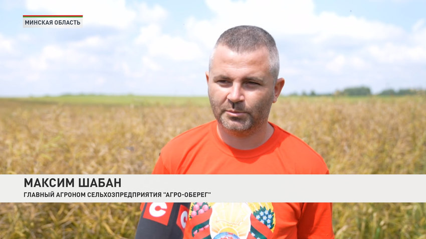 Максим Шабан, главный агроном сельхозпредприятия «Агро-Оберег»