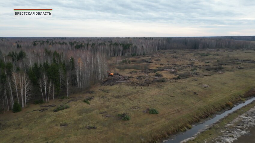 Посевная кампания