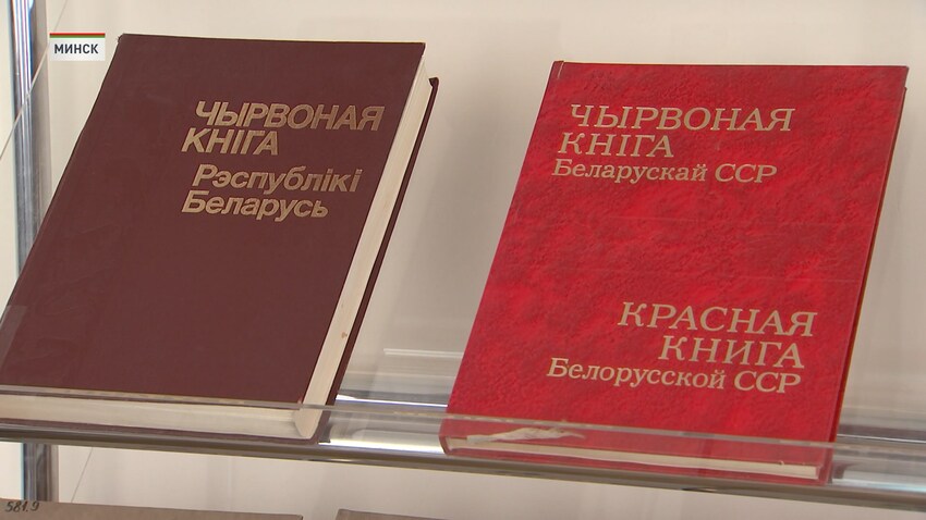 красная книга